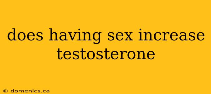 does having sex increase testosterone