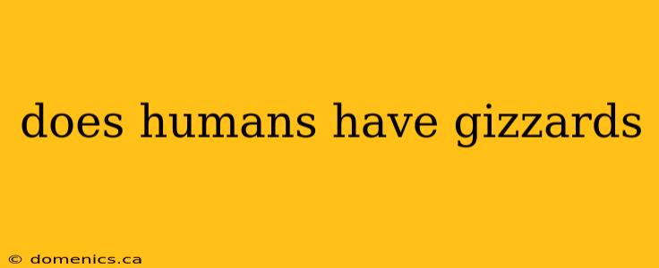 does humans have gizzards