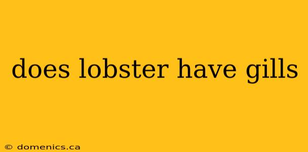 does lobster have gills