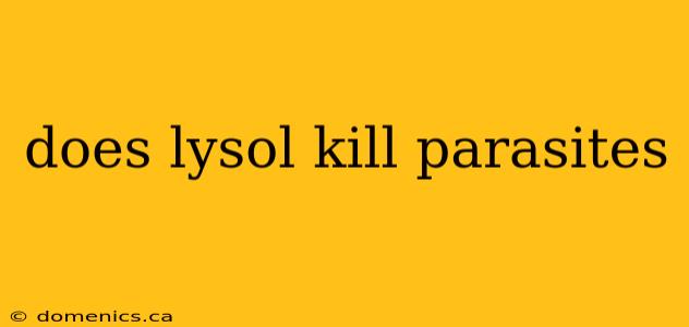 does lysol kill parasites