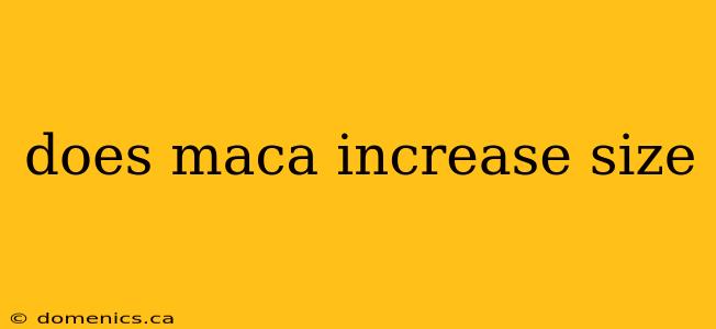 does maca increase size