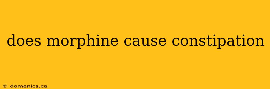 does morphine cause constipation