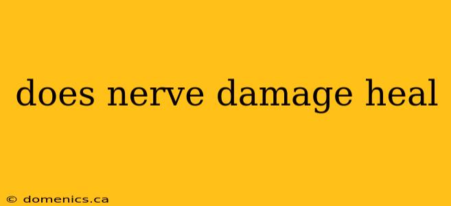 does nerve damage heal