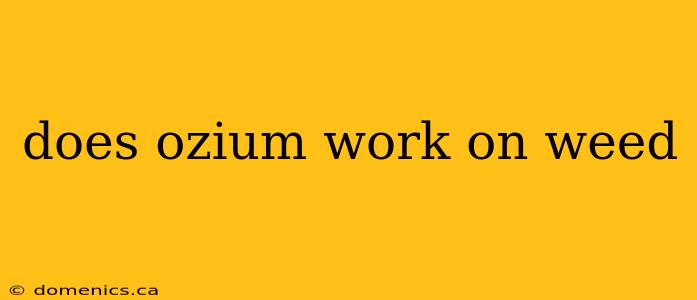 does ozium work on weed