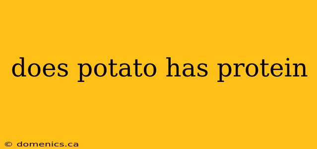 does potato has protein