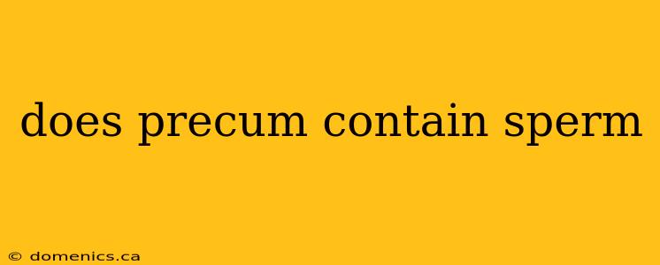 does precum contain sperm