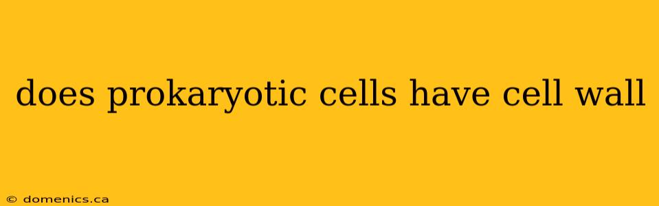 does prokaryotic cells have cell wall