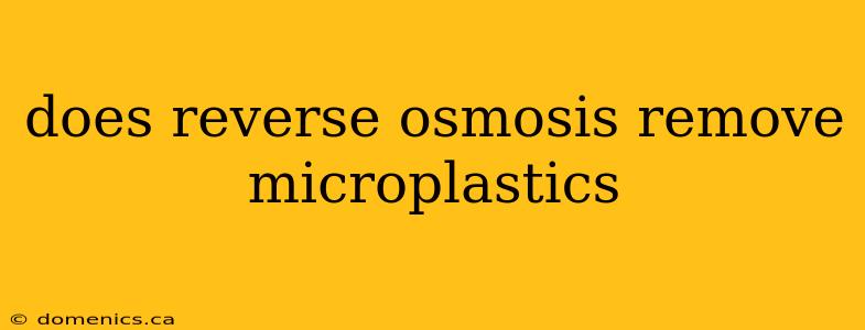 does reverse osmosis remove microplastics