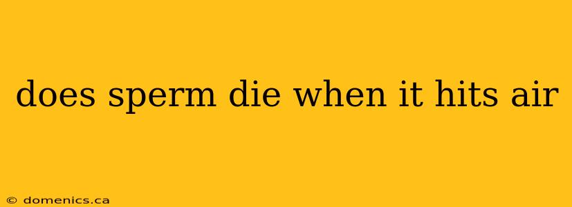 does sperm die when it hits air