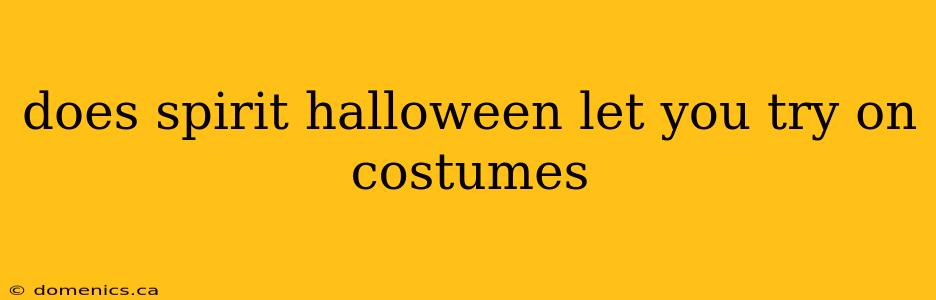 does spirit halloween let you try on costumes