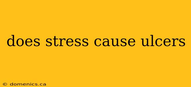 does stress cause ulcers