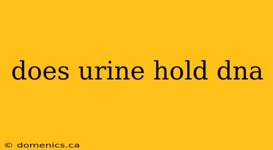 does urine hold dna