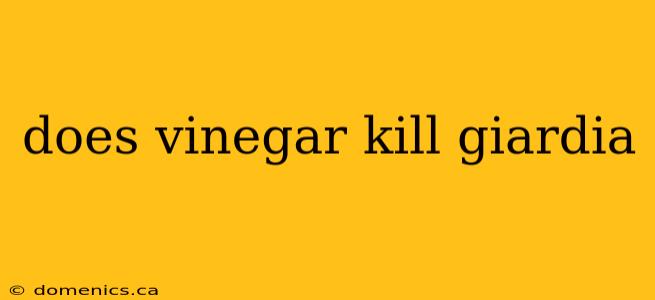 does vinegar kill giardia