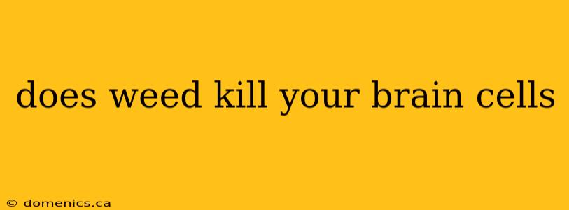 does weed kill your brain cells