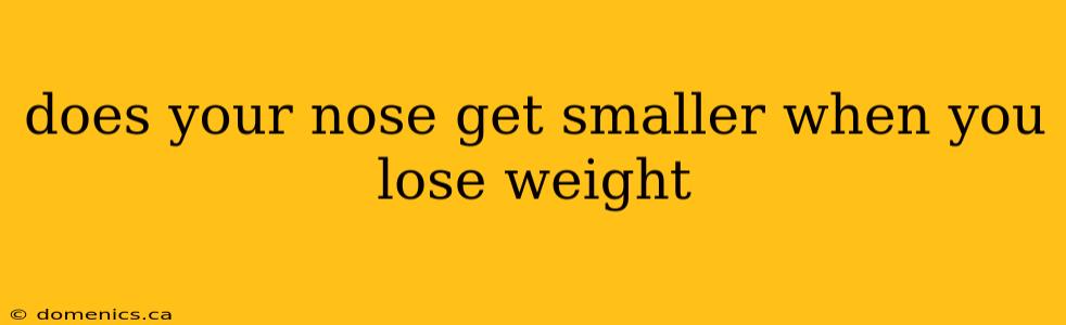 does your nose get smaller when you lose weight