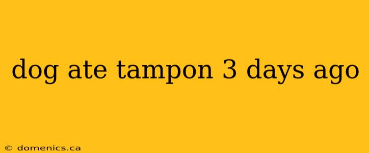 dog ate tampon 3 days ago