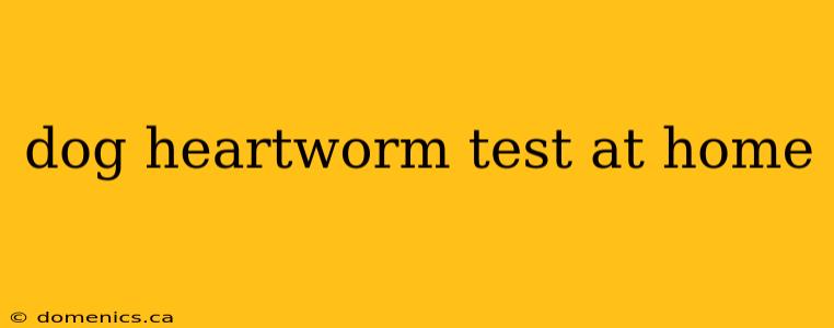 dog heartworm test at home