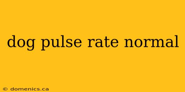 dog pulse rate normal