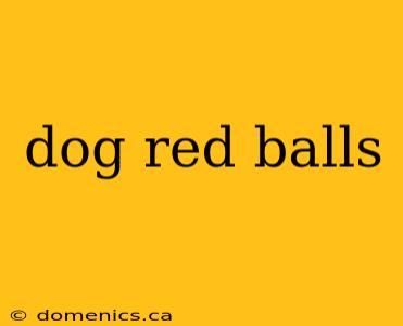 dog red balls