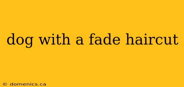 dog with a fade haircut