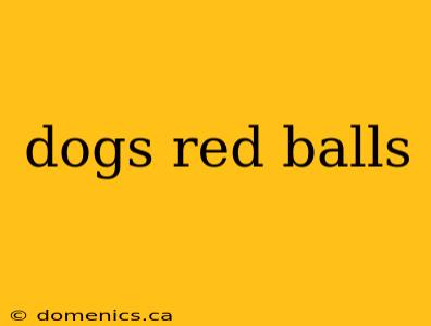 dogs red balls