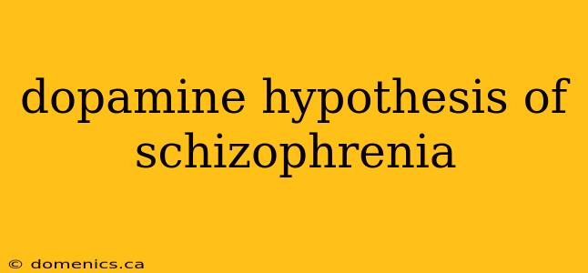 dopamine hypothesis of schizophrenia