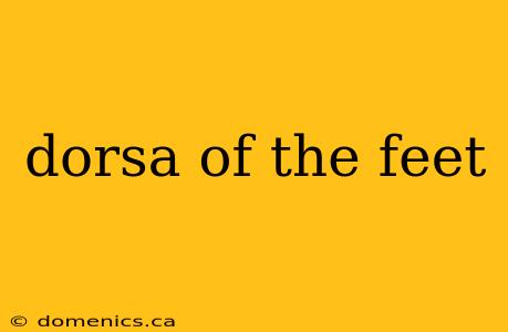 dorsa of the feet