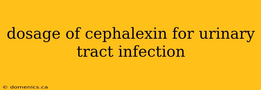 dosage of cephalexin for urinary tract infection