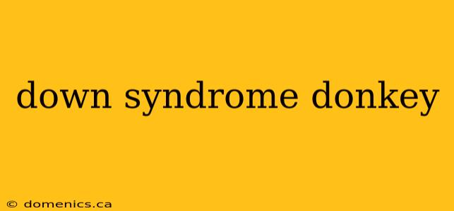 down syndrome donkey