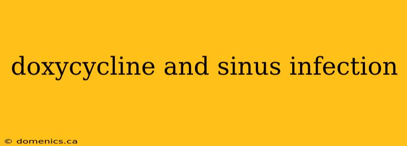 doxycycline and sinus infection