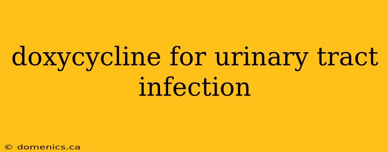 doxycycline for urinary tract infection