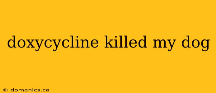 doxycycline killed my dog