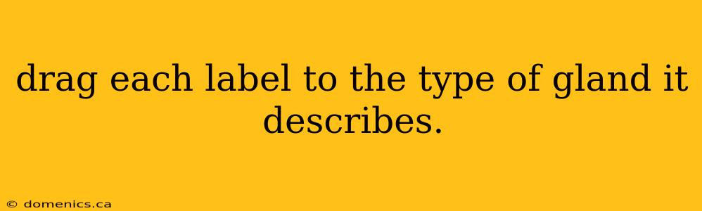 drag each label to the type of gland it describes.