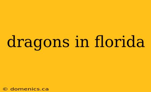 dragons in florida