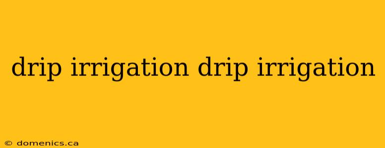 drip irrigation drip irrigation