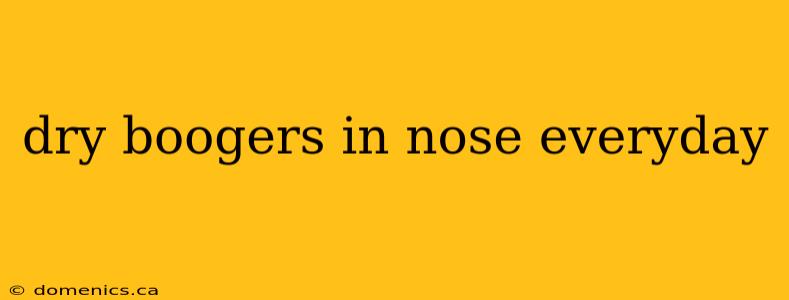 dry boogers in nose everyday