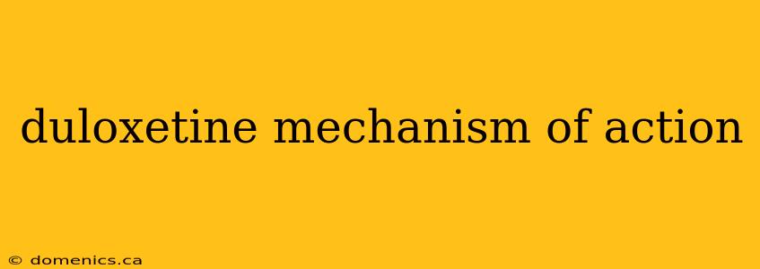 duloxetine mechanism of action