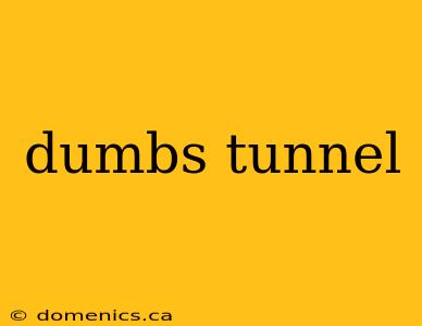 dumbs tunnel