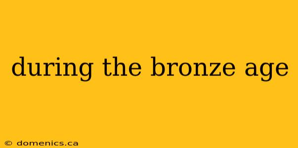 during the bronze age