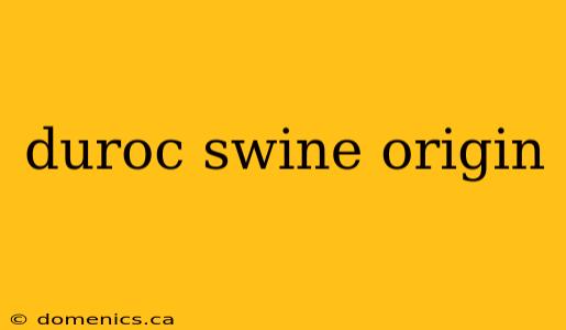 duroc swine origin