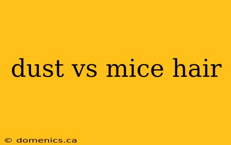 dust vs mice hair