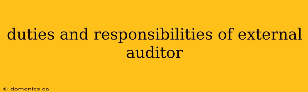 duties and responsibilities of external auditor