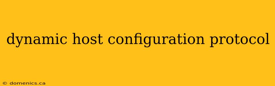 dynamic host configuration protocol