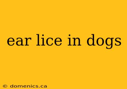 ear lice in dogs