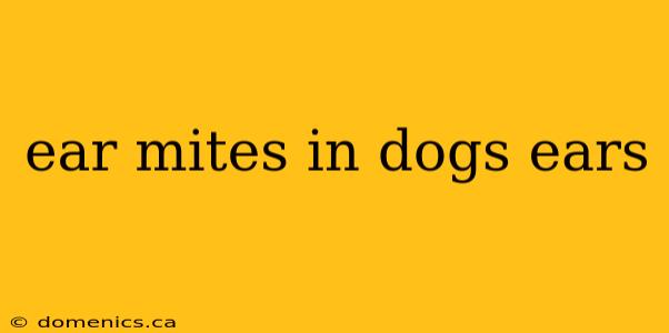 ear mites in dogs ears