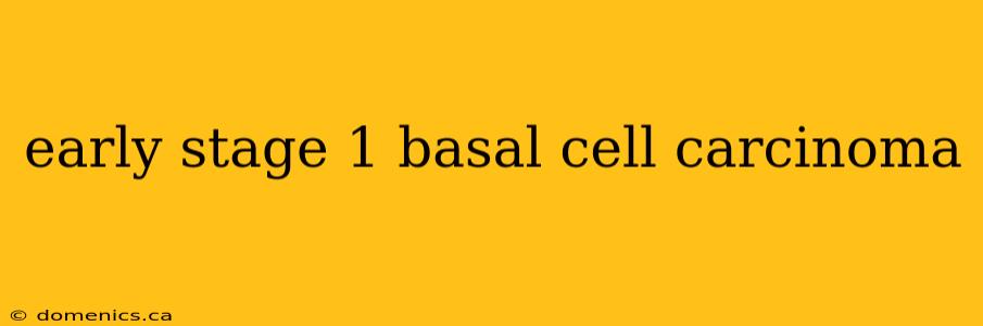 early stage 1 basal cell carcinoma