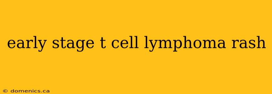 early stage t cell lymphoma rash