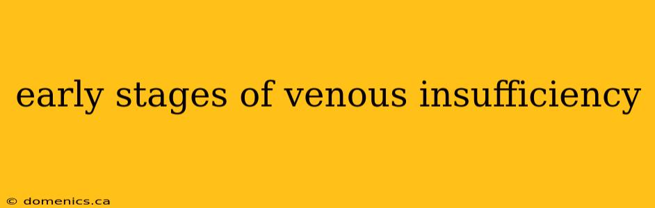 early stages of venous insufficiency