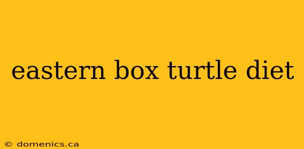 eastern box turtle diet