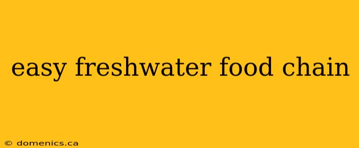 easy freshwater food chain